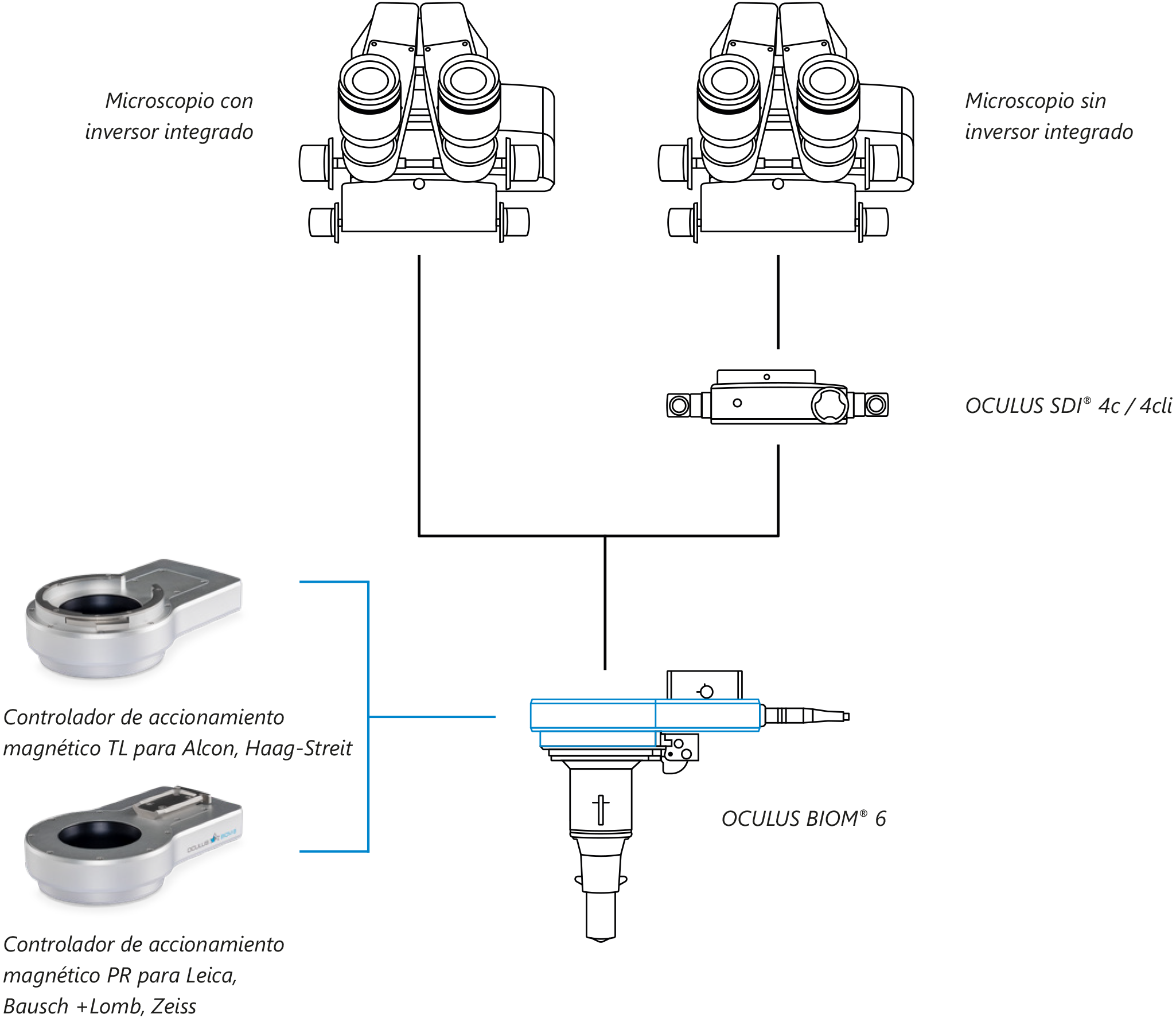 biom6_adaptation_possibilities_es_2050x1775